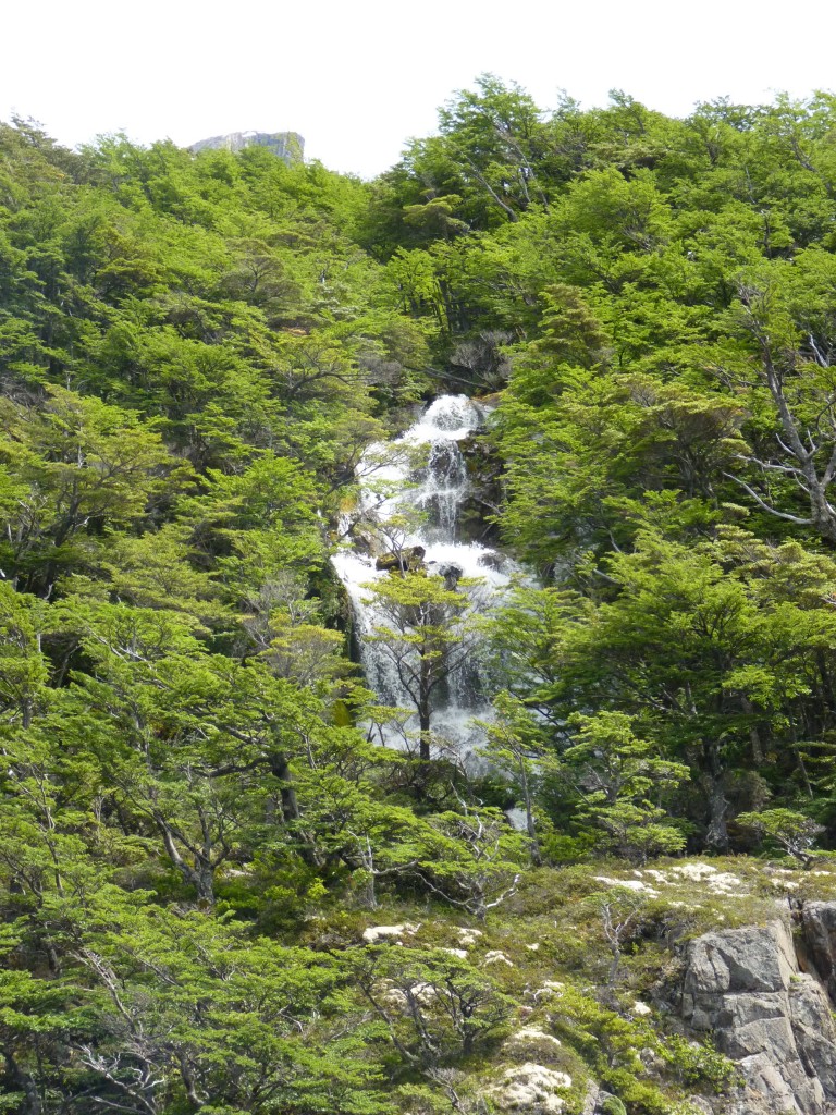 Foto: Lago del Desierto. - El Chaltén (Santa Cruz), Argentina