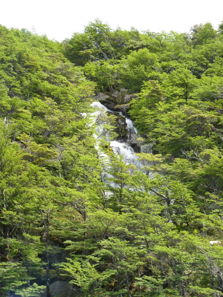 Foto: Lago del Desierto. - El Chaltén (Santa Cruz), Argentina