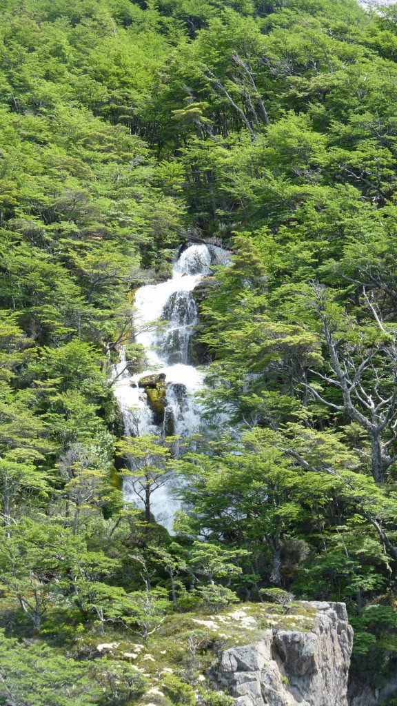 Foto: Lago del Desierto. - El Chaltén (Santa Cruz), Argentina