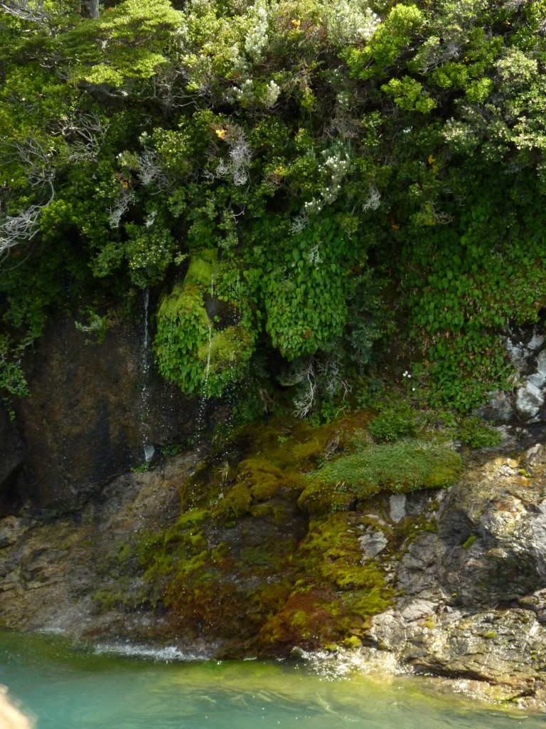 Foto: Lago del Desierto. - El Chaltén (Santa Cruz), Argentina