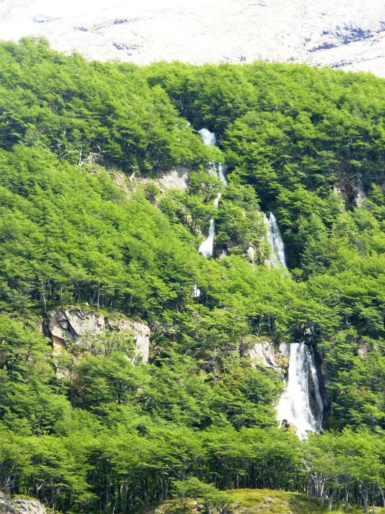 Foto: Lago del Desierto. - El Chaltén (Santa Cruz), Argentina