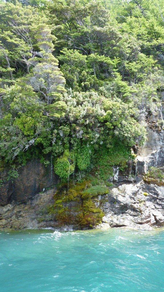 Foto: Lago del Desierto. - El Chaltén (Santa Cruz), Argentina