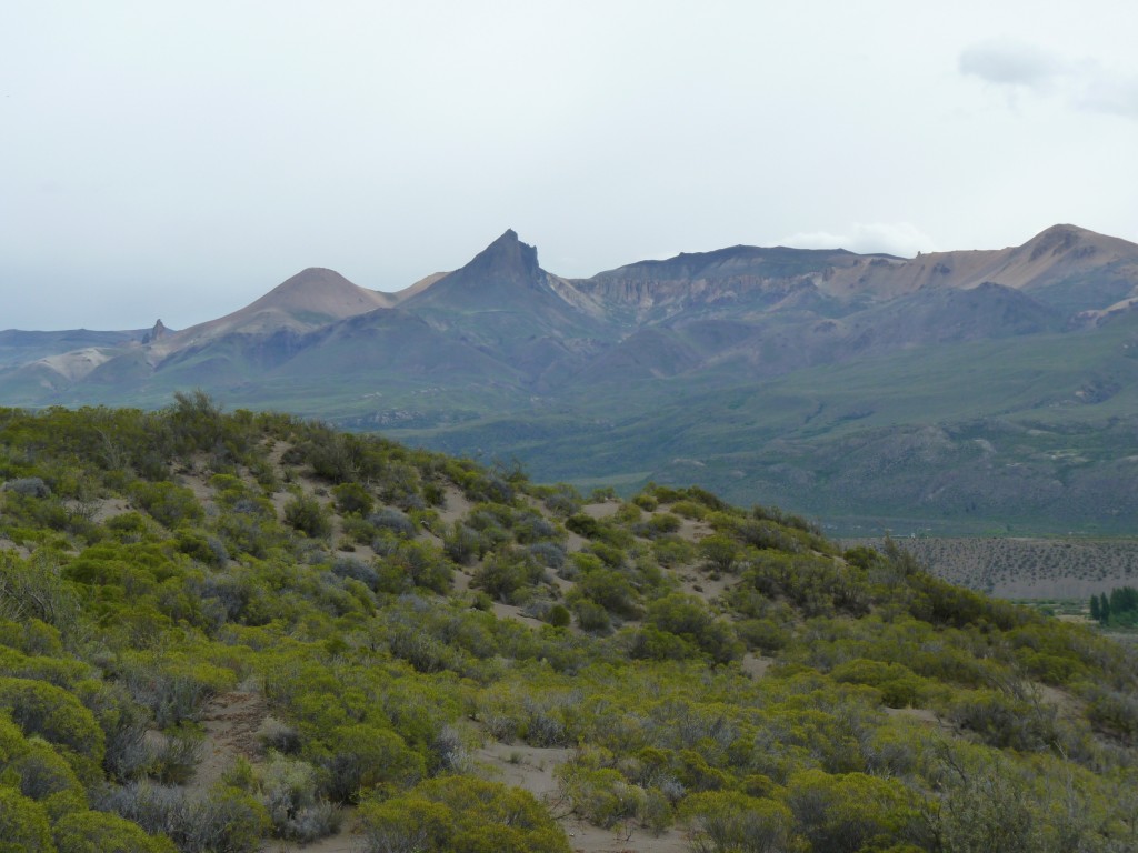 Foto de Los Antiguos (Santa Cruz), Argentina