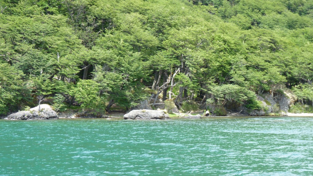Foto: Lago del Desierto. - El Chaltén (Santa Cruz), Argentina