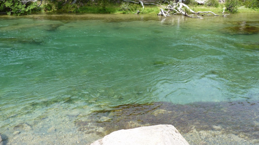 Foto: Lago del Desierto. - El Chaltén (Santa Cruz), Argentina
