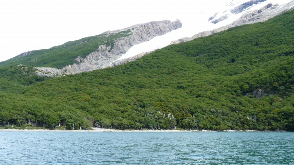 Foto: Lago del Desierto. - El Chaltén (Santa Cruz), Argentina