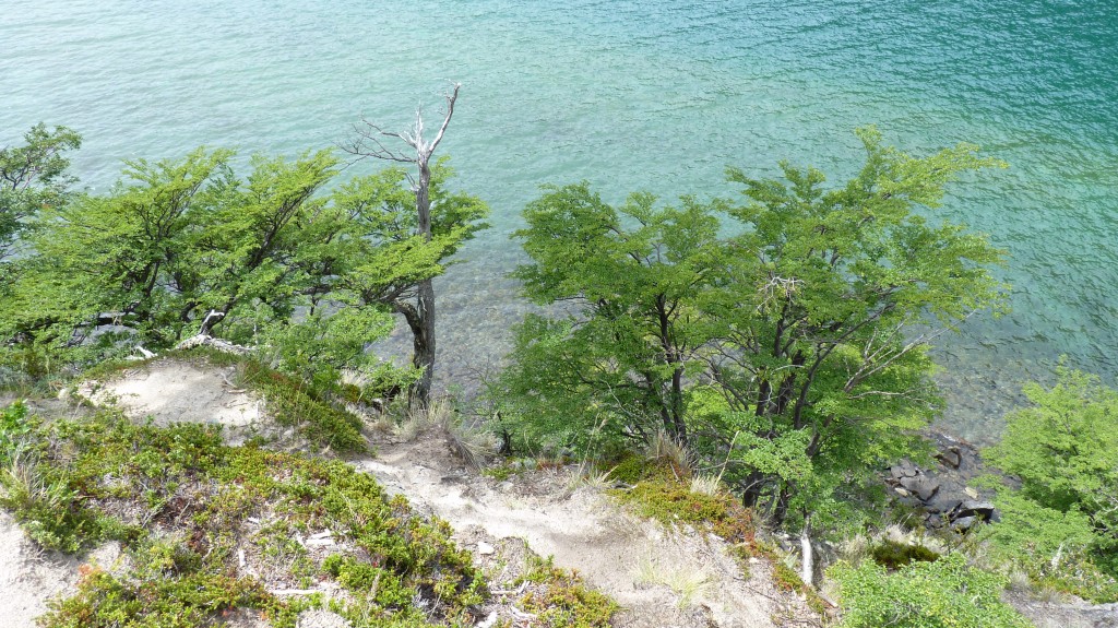 Foto: Lago del Desierto. - El Chaltén (Santa Cruz), Argentina