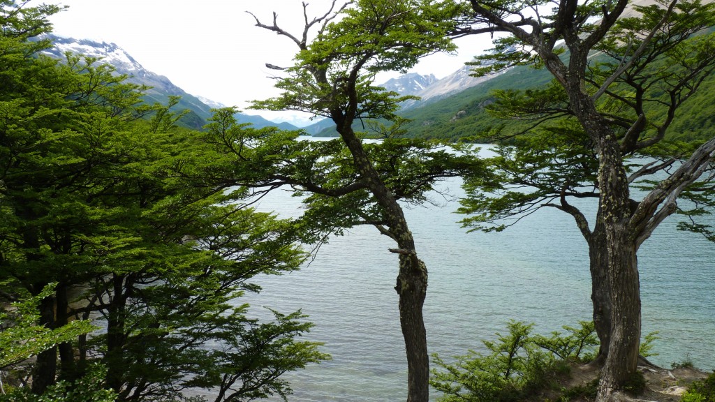 Foto: Lago del Desierto. - El Chaltén (Santa Cruz), Argentina