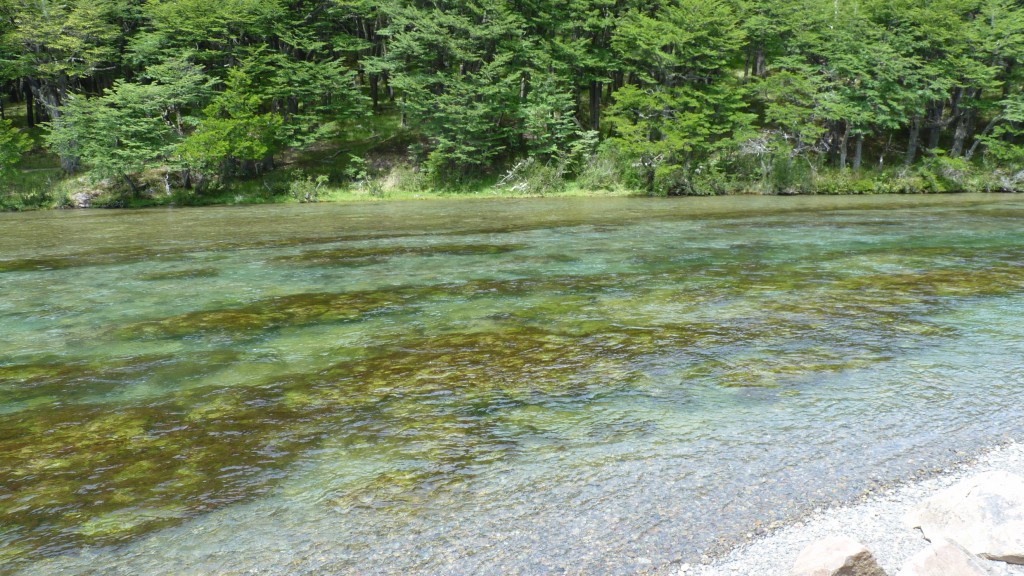 Foto: Lago del Desierto. - El Chaltén (Santa Cruz), Argentina