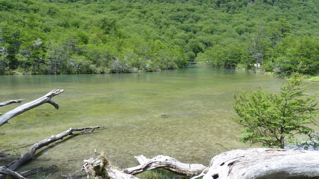 Foto: Lago del Desierto. - El Chaltén (Santa Cruz), Argentina