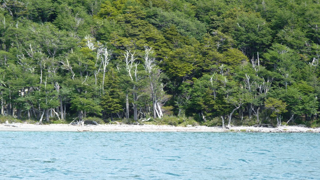 Foto: Lago del Desierto. - El Chaltén (Santa Cruz), Argentina