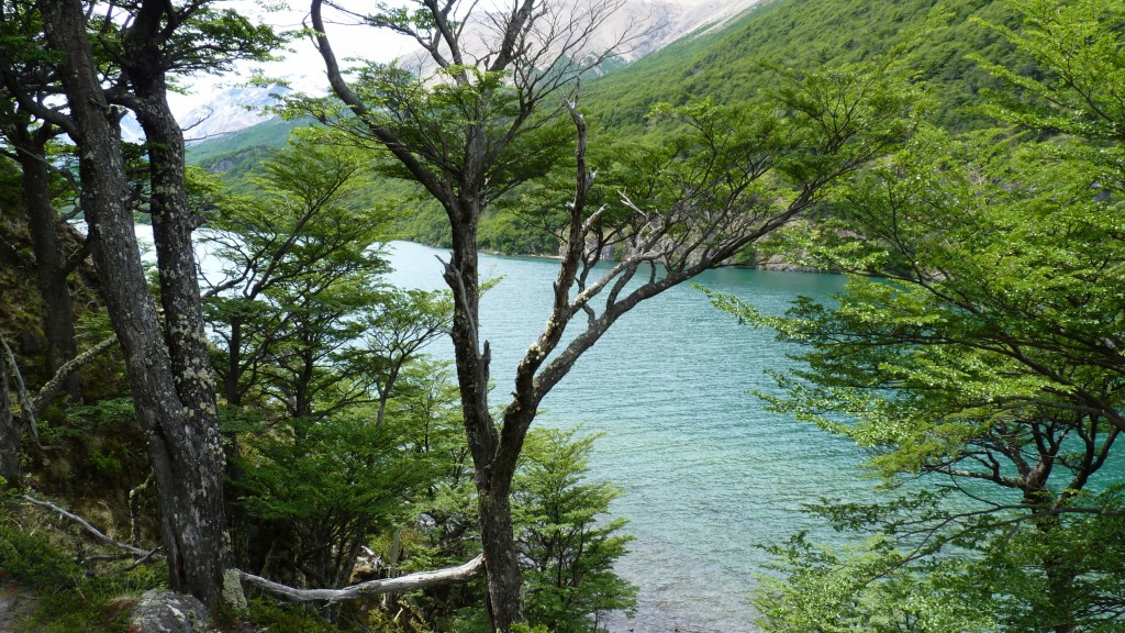 Foto: Lago del Desierto. - El Chaltén (Santa Cruz), Argentina