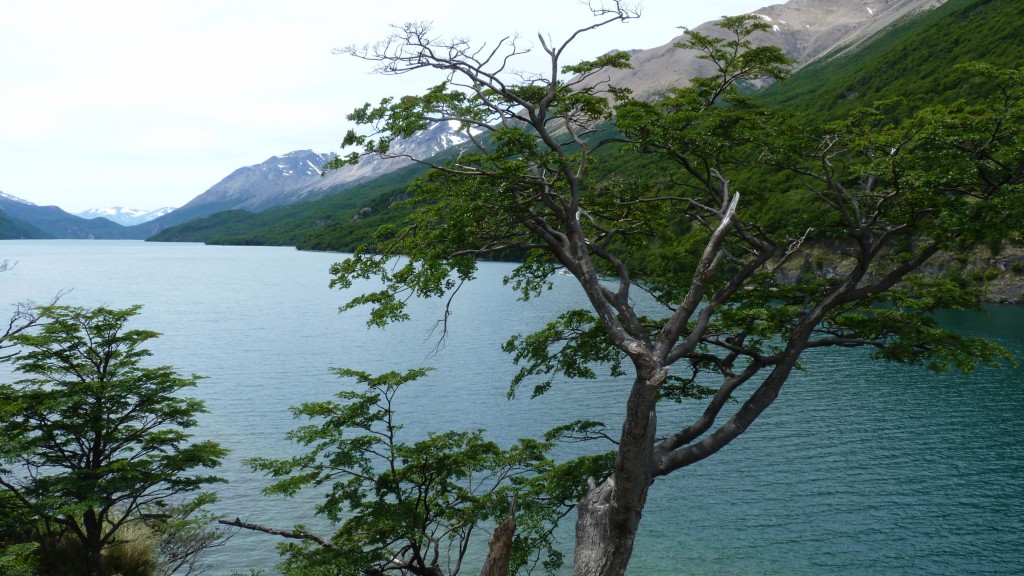 Foto: Lago del Desierto. - El Chaltén (Santa Cruz), Argentina