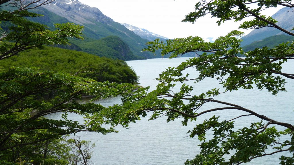 Foto: Lago del Desierto. - El Chaltén (Santa Cruz), Argentina