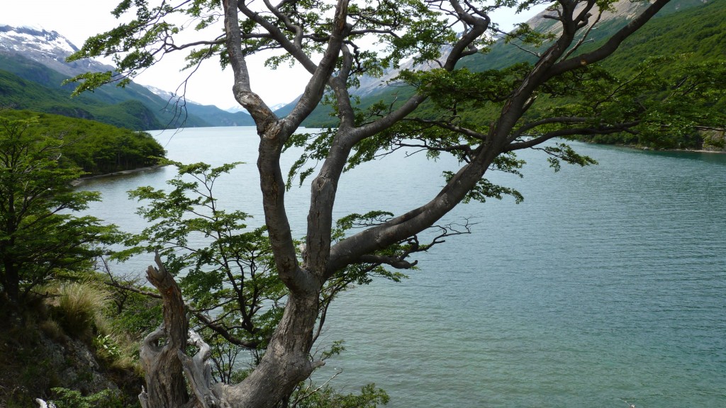 Foto: Lago del Desierto. - El Chaltén (Santa Cruz), Argentina