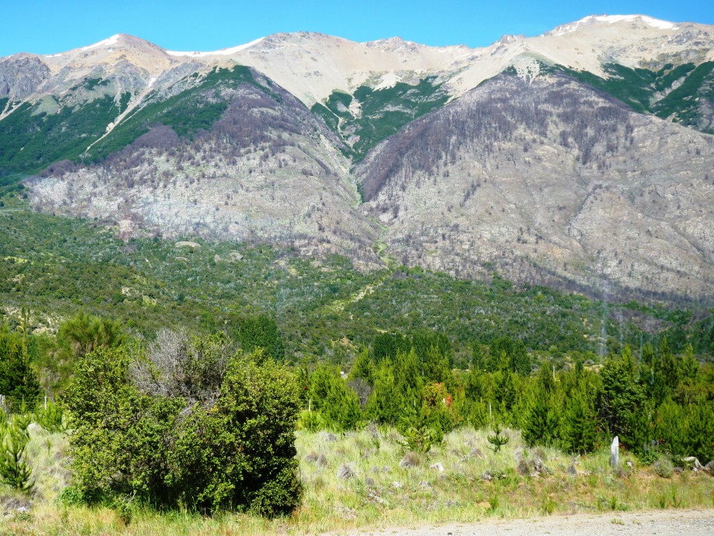 Foto: Ingreso al Parque. - Parque Nacional Los Alerces. (Chubut), Argentina