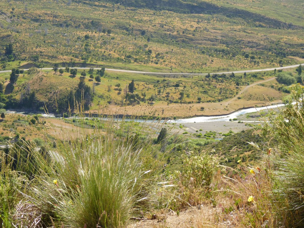 Foto: Río Percey. - Parque Nacional Los Alerces. (Chubut), Argentina