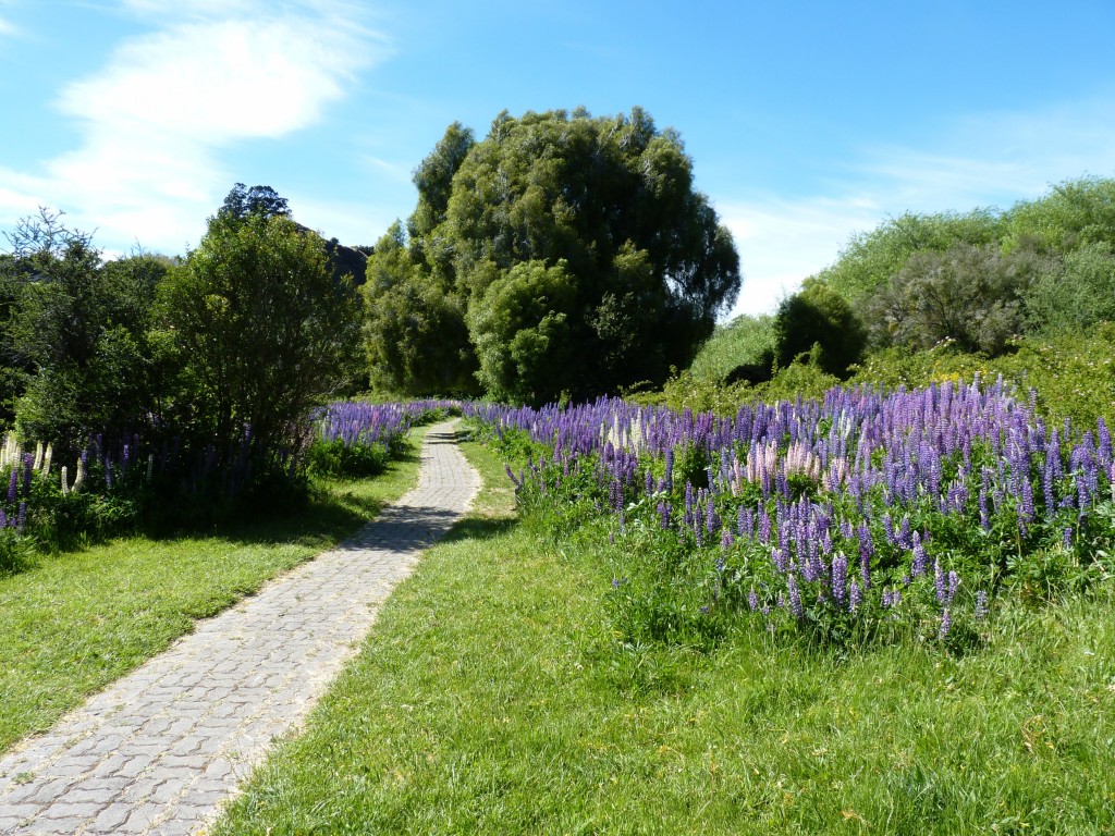 Foto: Pinturas rupestres. - Parque Nacional Los Alerces (Chubut), Argentina