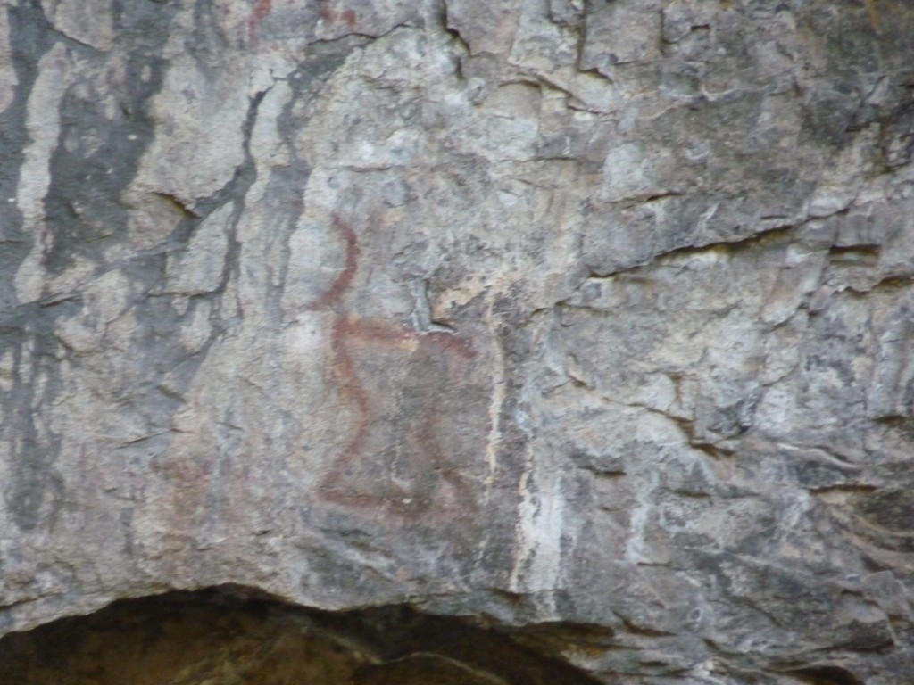Foto: Pinturas rupestres. - Parque Nacional Los Alerces (Chubut), Argentina