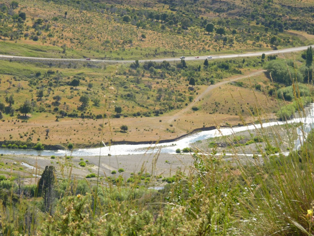Foto: Río Percey. - Parque Nacional Los Alerces. (Chubut), Argentina