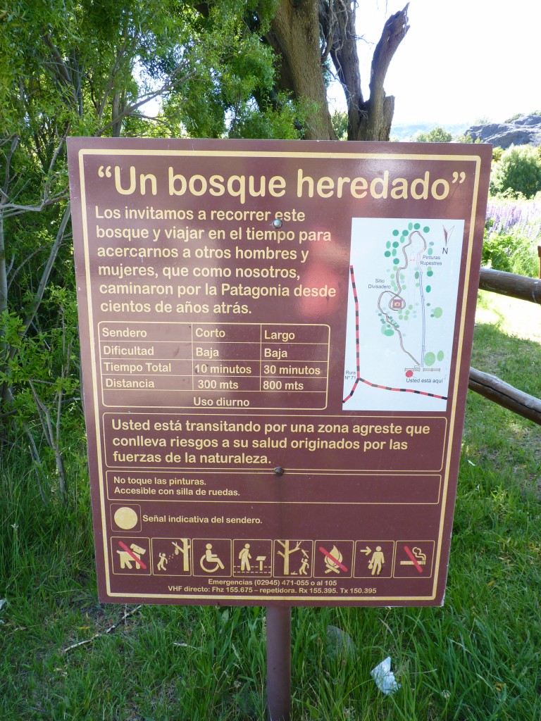 Foto: Pinturas rupestres. - Parque Nacional Los Alerces. (Chubut), Argentina