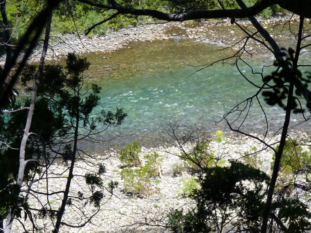 Foto de Parque Nacional Los Alerces (Chubut), Argentina