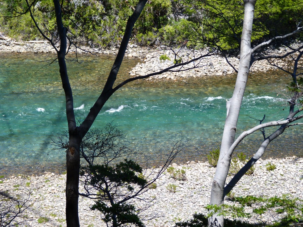 Foto: Río Menéndez. - Parque Nacional Los Alerces (Chubut), Argentina