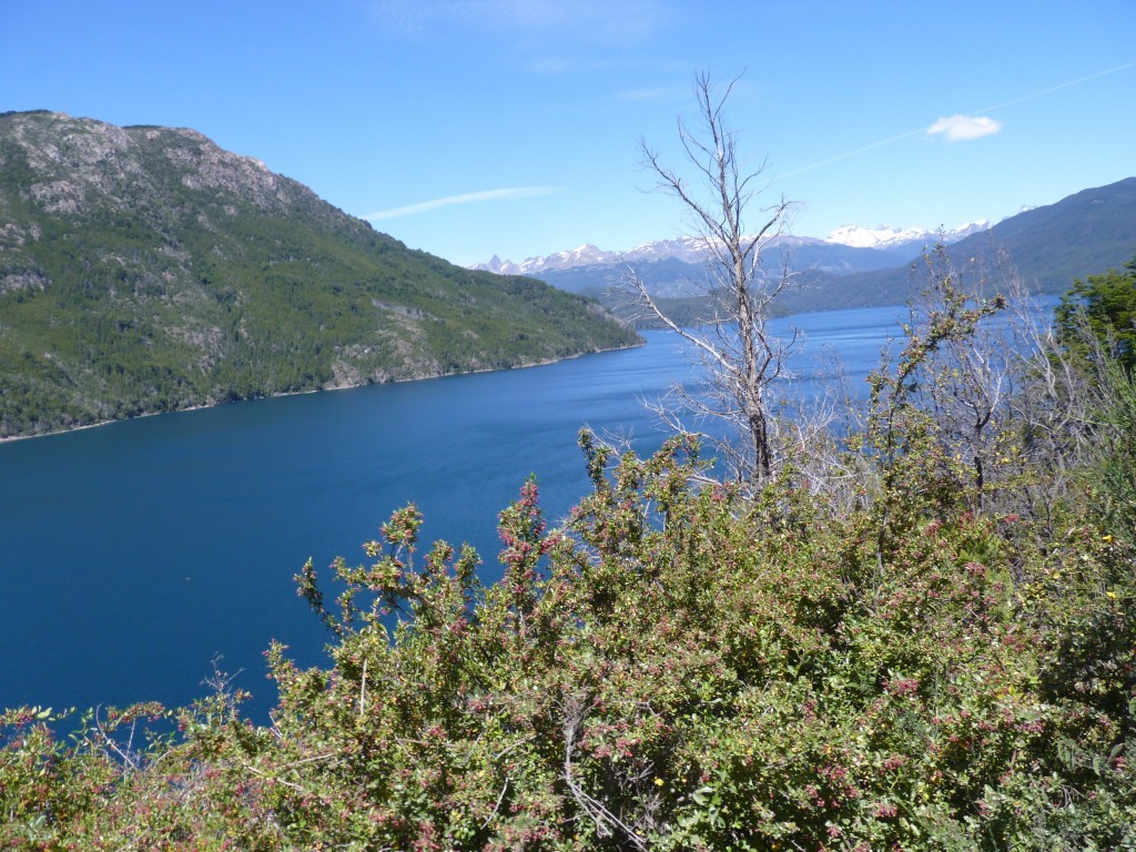 Foto: Lago Futalaufquén. - Parque Nacional Los Alerces (Chubut), Argentina