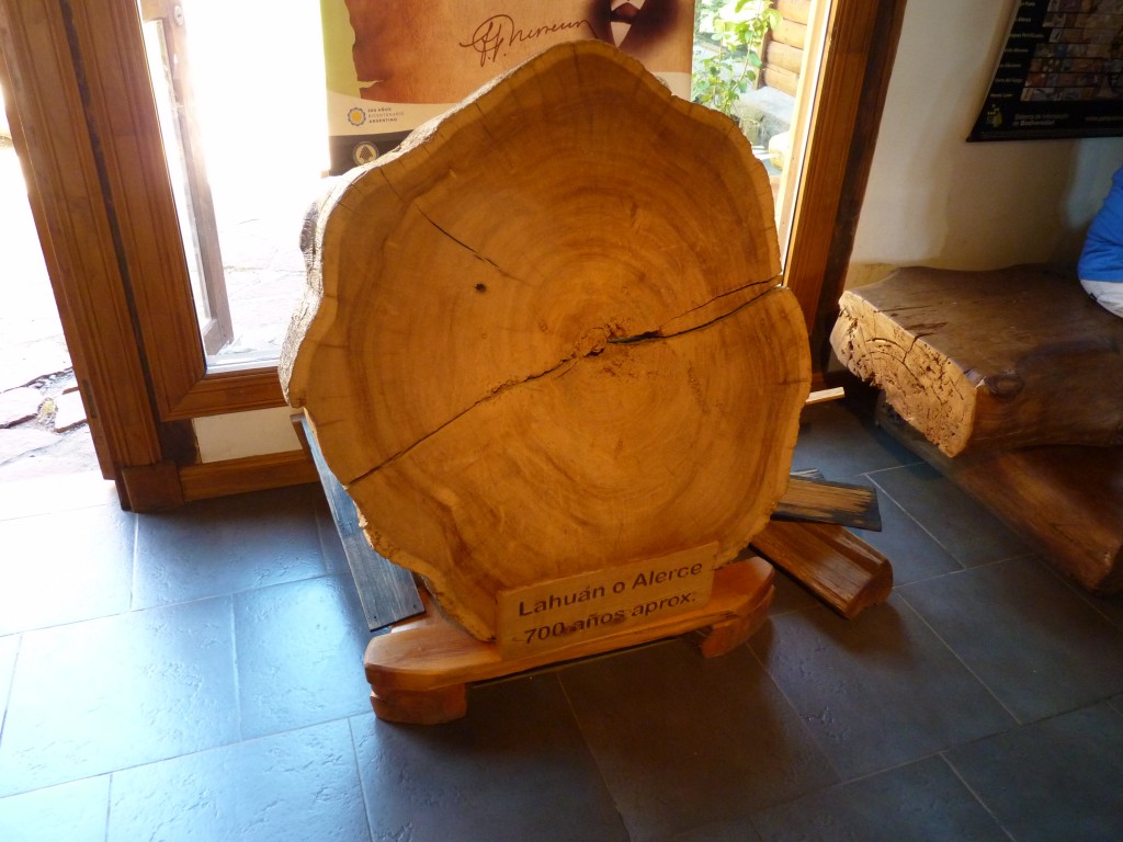 Foto: Centro de interpretación. - Parque Nacional Los Alerces (Chubut), Argentina