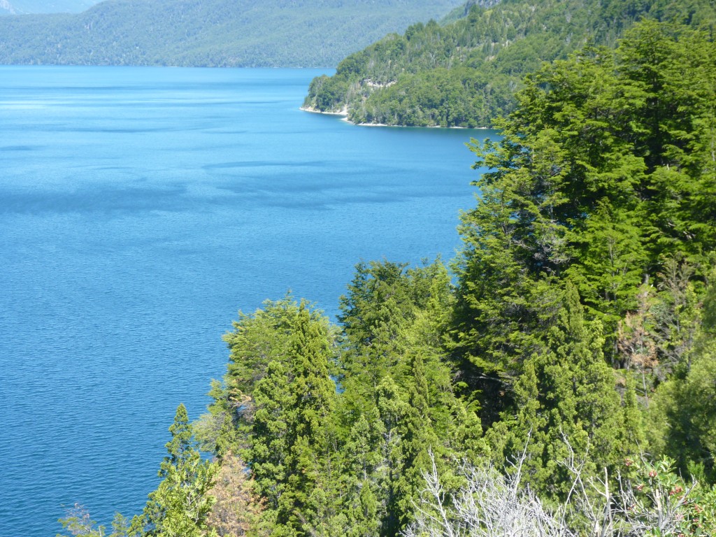 Foto: Lago Futalaufquén. - Parque Nacional Los Alerces (Chubut), Argentina
