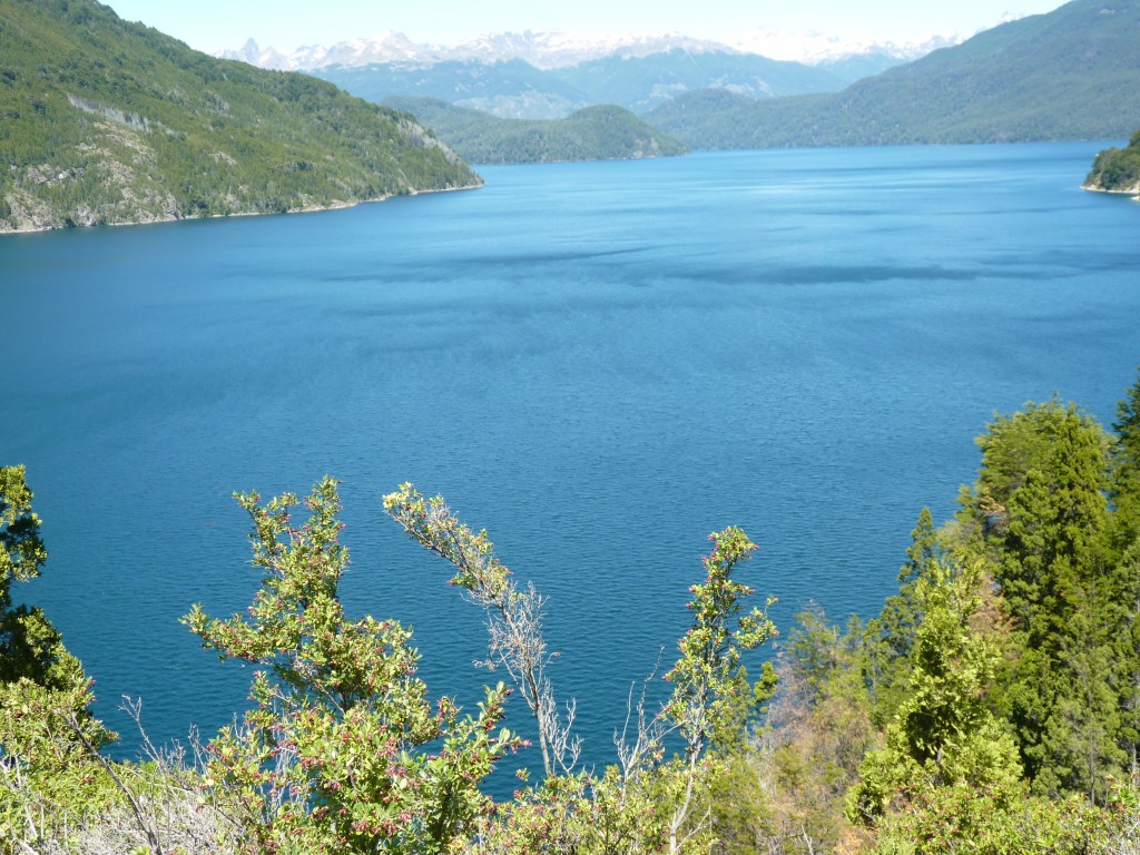 Foto: Lago Futalaufquén. - Parque Nacional Los Alerces (Chubut), Argentina