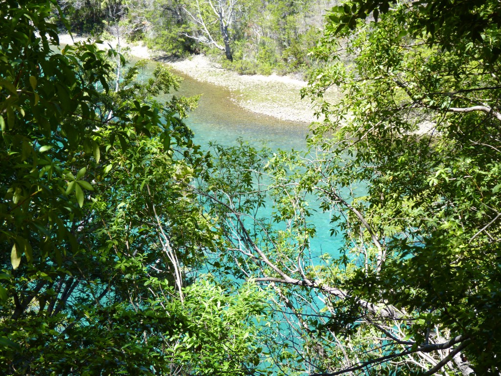 Foto: Río Menéndez. - Parque Nacional Los Alerces (Chubut), Argentina