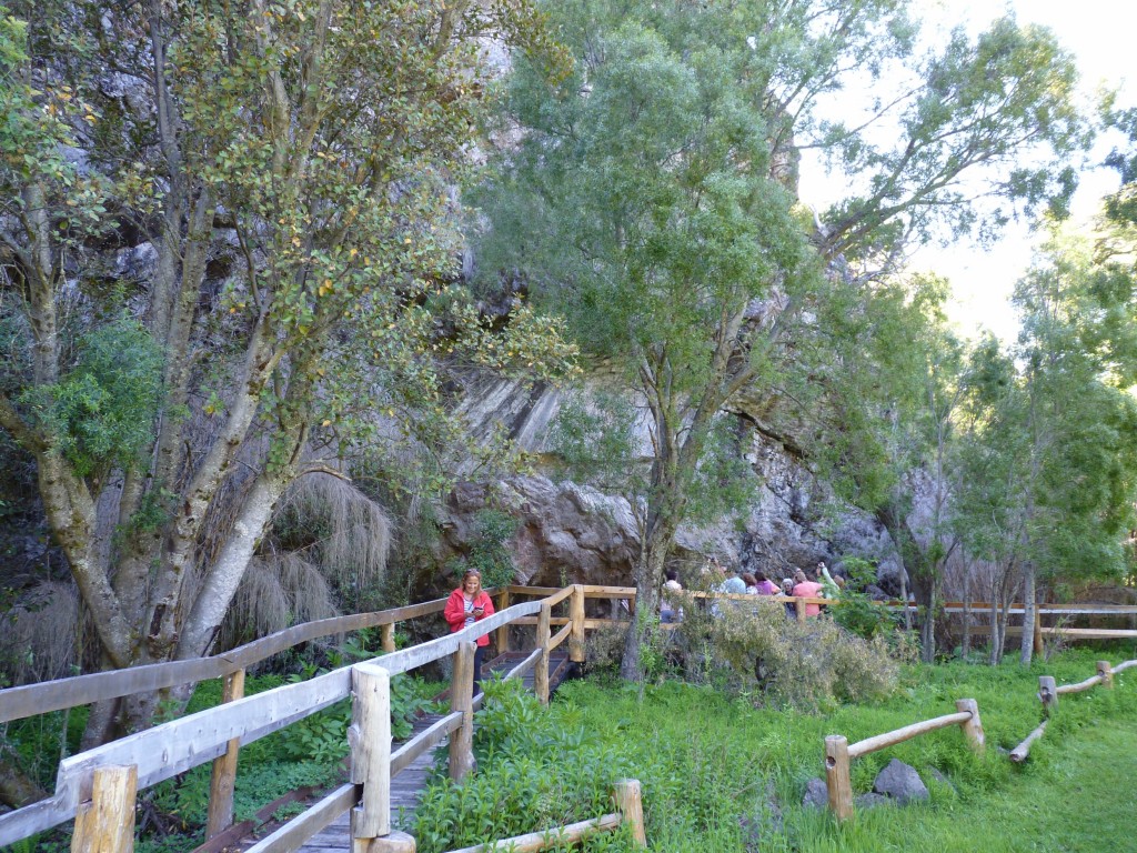 Foto: Pinturas Rupestres. - Parque Nacional Los Alerces (Chubut), Argentina