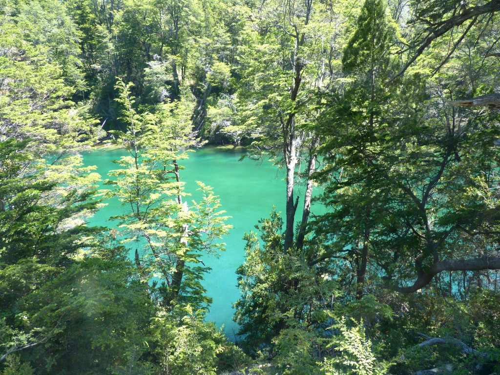 Foto: Río Arrayanes. - Parque Nacional Los Alerces (Chubut), Argentina