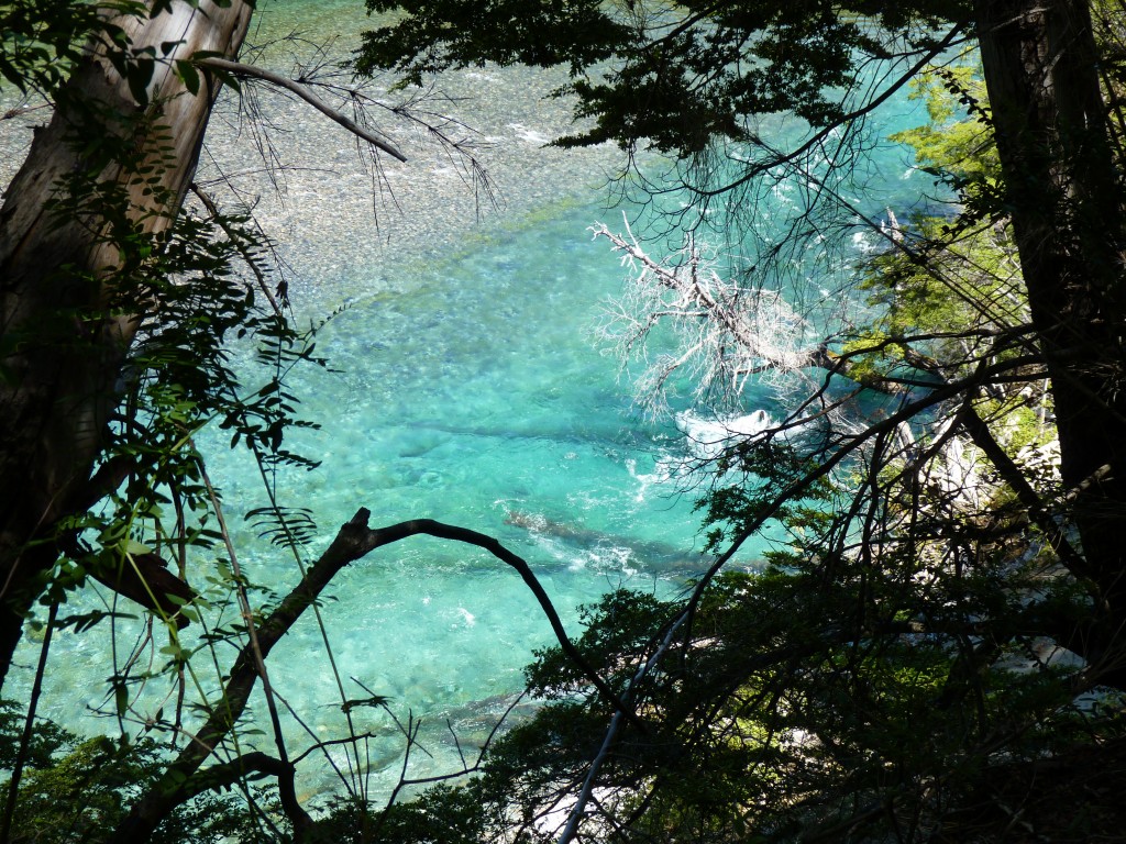 Foto: Río Menéndez. - Parque Nacional Los Alerces (Chubut), Argentina