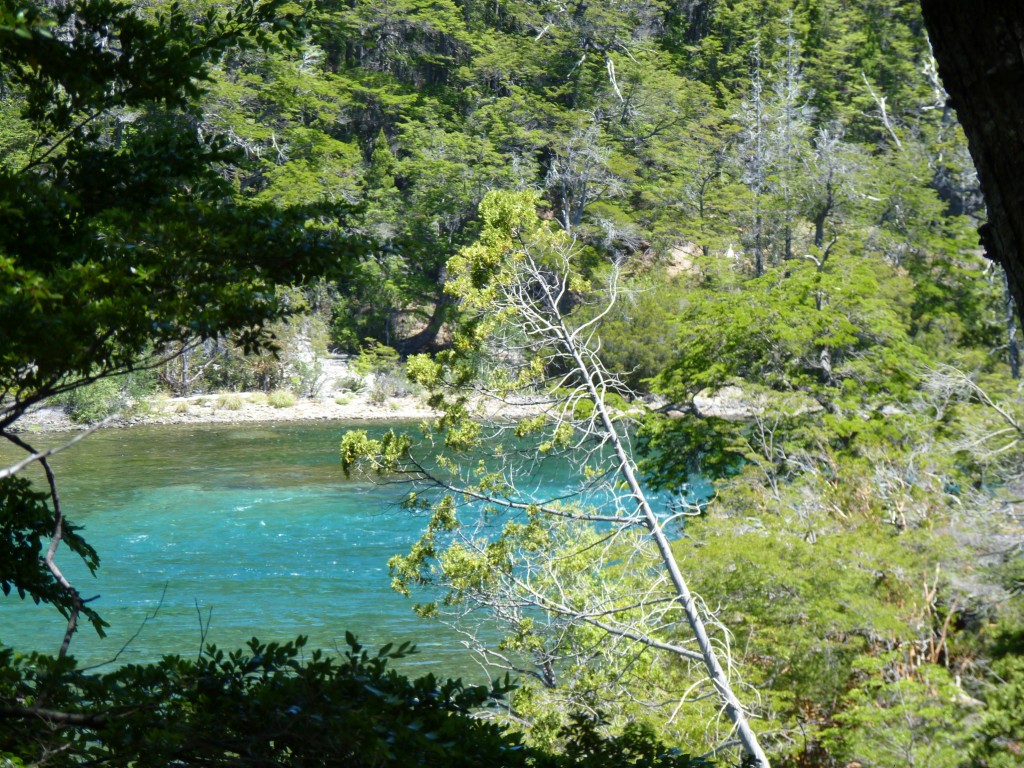 Foto: Reunión de los ríos Menéndez y Arrayanes. - Parque Nacional Los Alerces (Chubut), Argentina