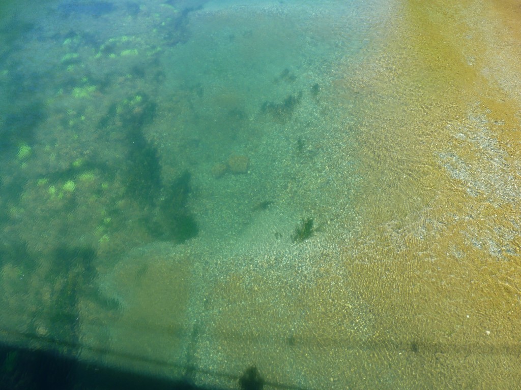 Foto: Reunión de los ríos Menéndez y Arrayanes. - Parque Nacional Los Alerces (Chubut), Argentina