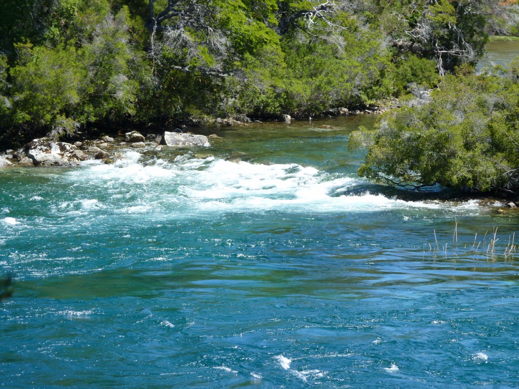 Foto: Río Menéndez. - Parque Nacional Los Alerces (Chubut), Argentina