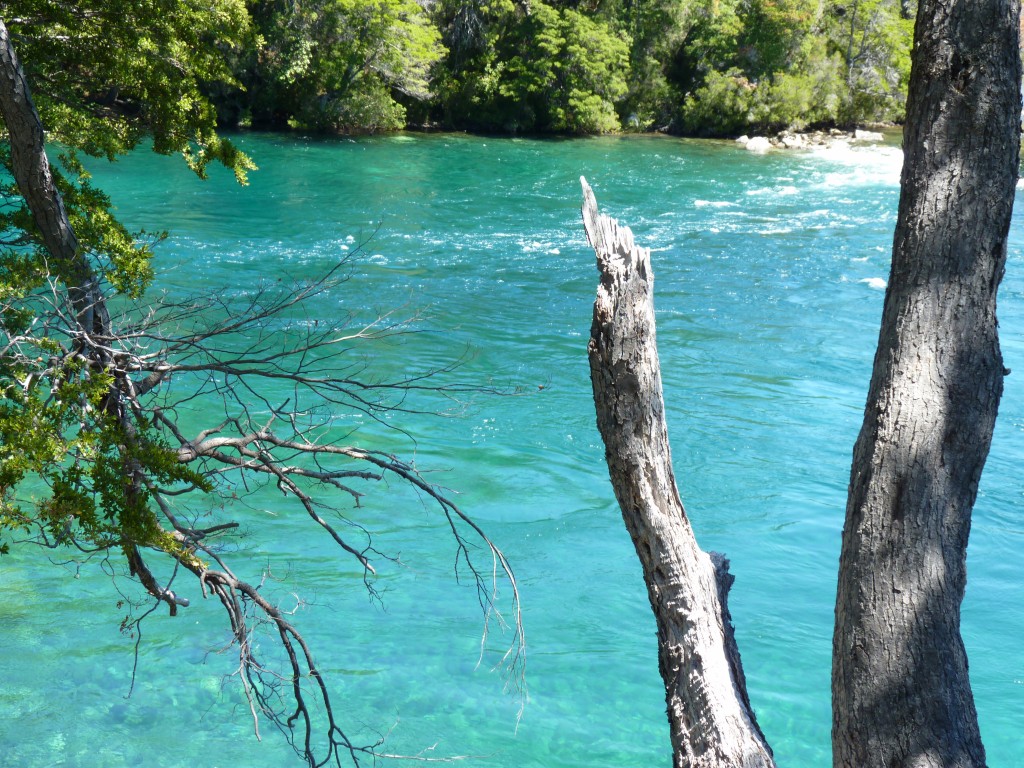 Foto: Río Menéndez. - Parque Nacional Los Alerces (Chubut), Argentina