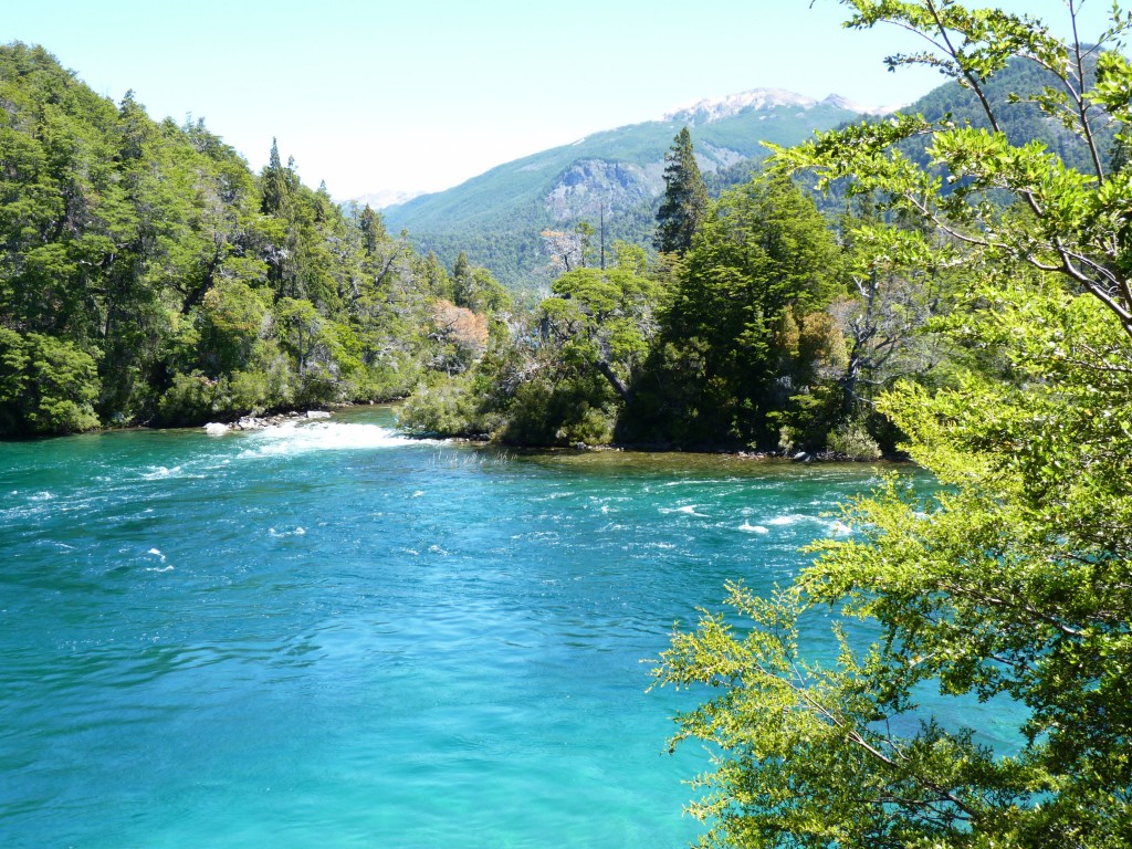 Foto: Río Menéndez. - Parque Nacional Los Alerces (Chubut), Argentina