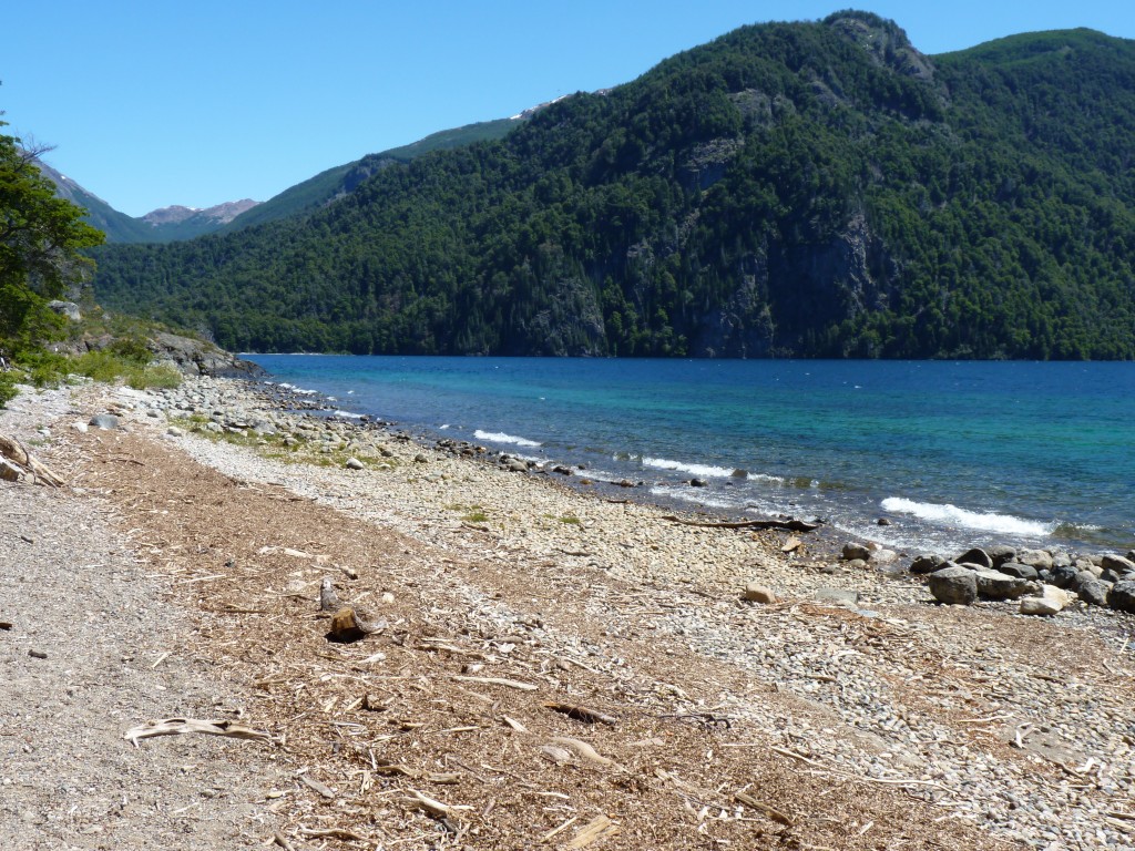 Foto: Lago Menéndez. - Parque Nacional Los Alerces (Chubut), Argentina