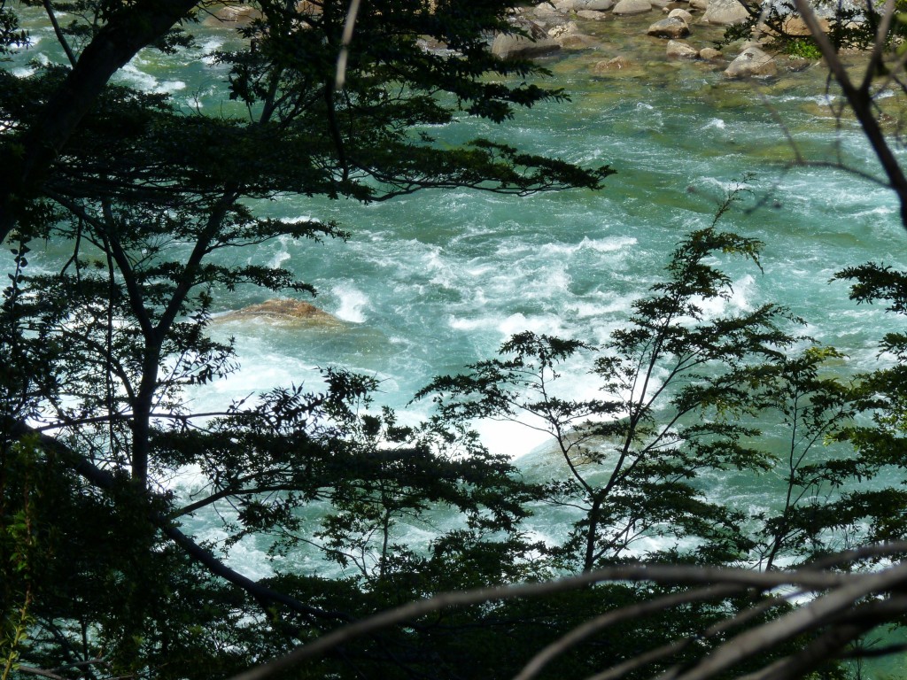Foto: Río Menéndez. - Parque Nacional Los Alerces (Chubut), Argentina