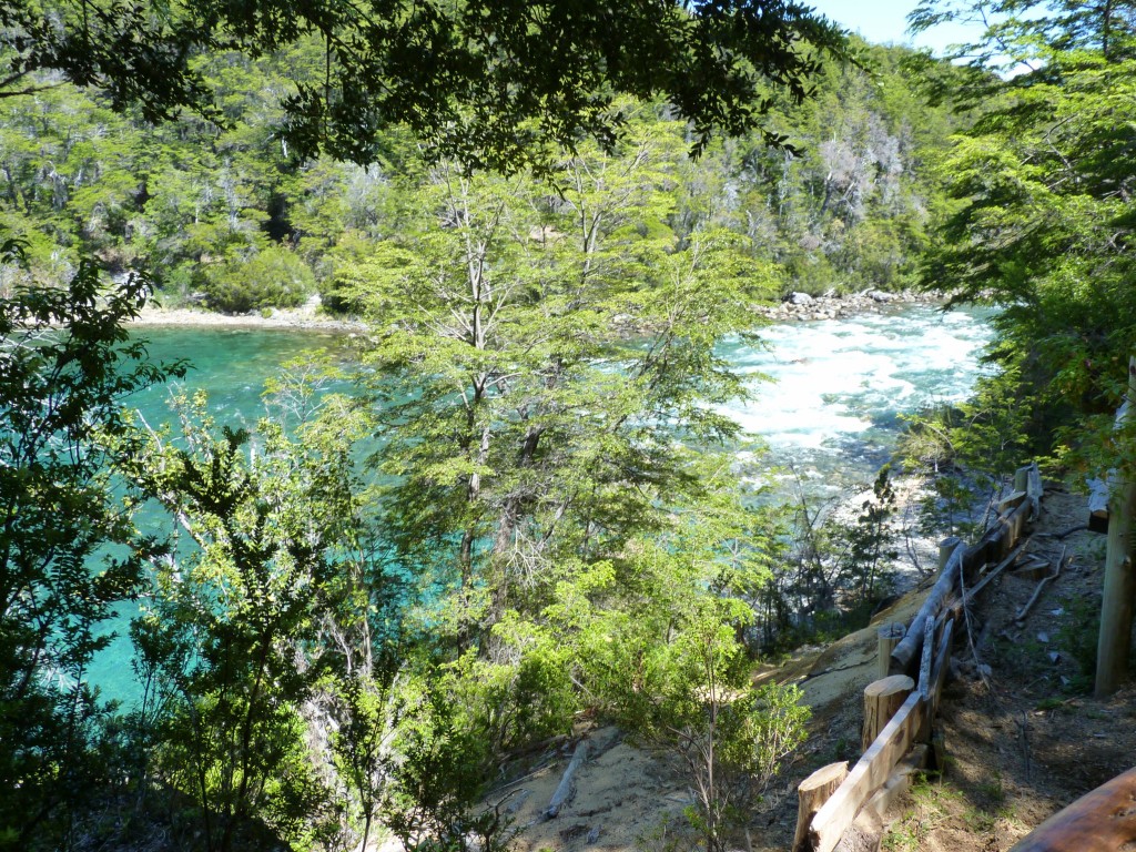 Foto: Reunión de los ríos Menéndez y Arrayanes. - Parque Nacional Los Alerces (Chubut), Argentina