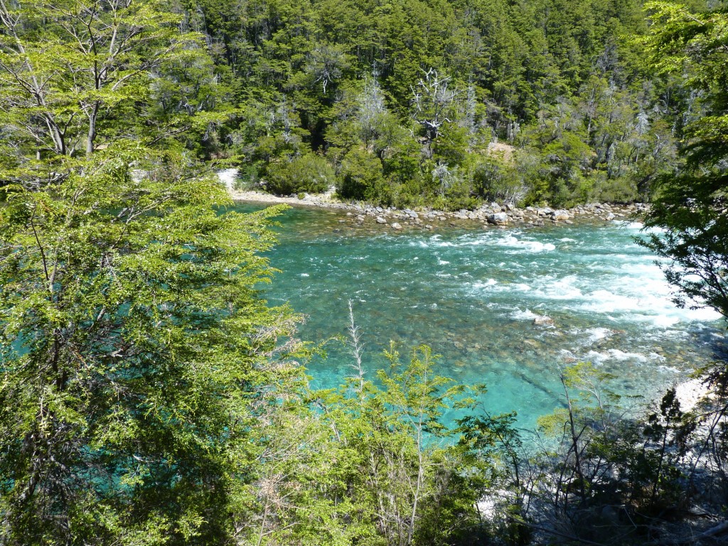 Foto: Río Menéndez. - Parque Nacional Los Alerces (Chubut), Argentina