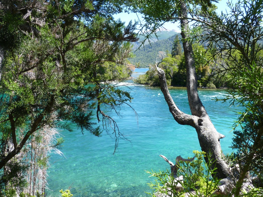 Foto: Río Menéndez. - Parque Nacional Los Alerces (Chubut), Argentina