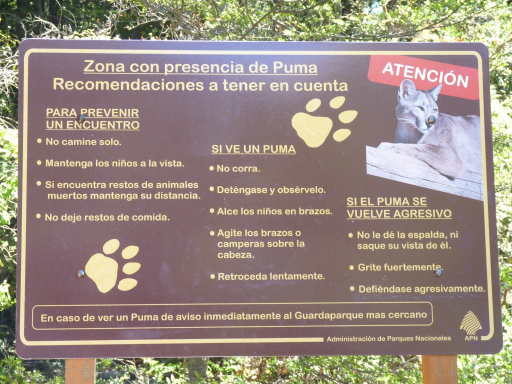 Foto: Pasarela. - Parque Nacional Los Alerces (Chubut), Argentina