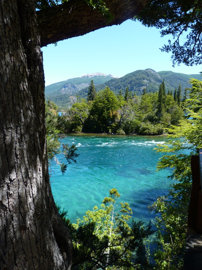 Foto: Río Menéndez. - Parque Nacional Los Alerces (Chubut), Argentina