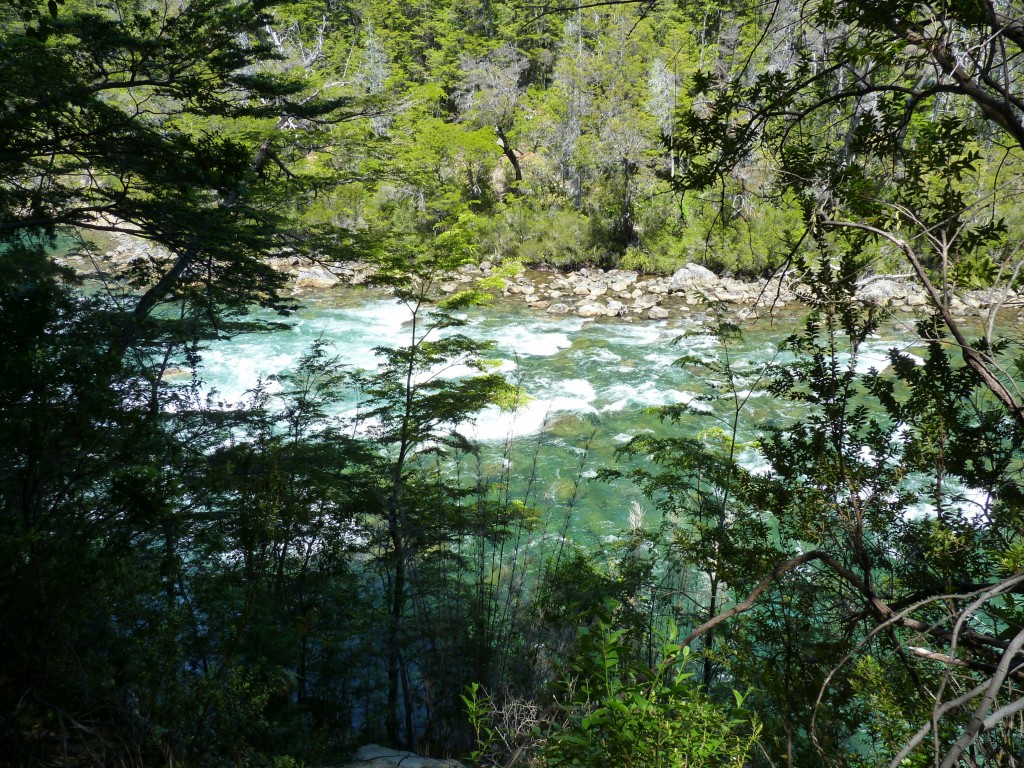 Foto: Río Menéndez. - Parque Nacional Los Alerces (Chubut), Argentina