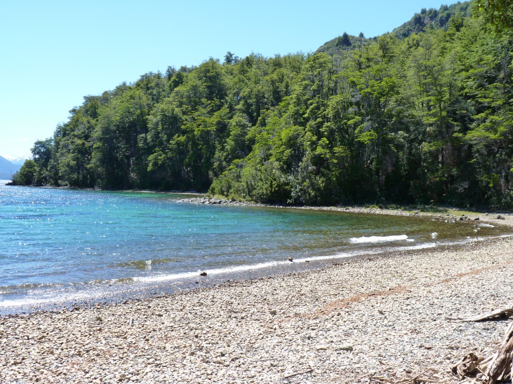 Foto: Lago Menéndez. - Parque Nacional Los Alerces (Chubut), Argentina