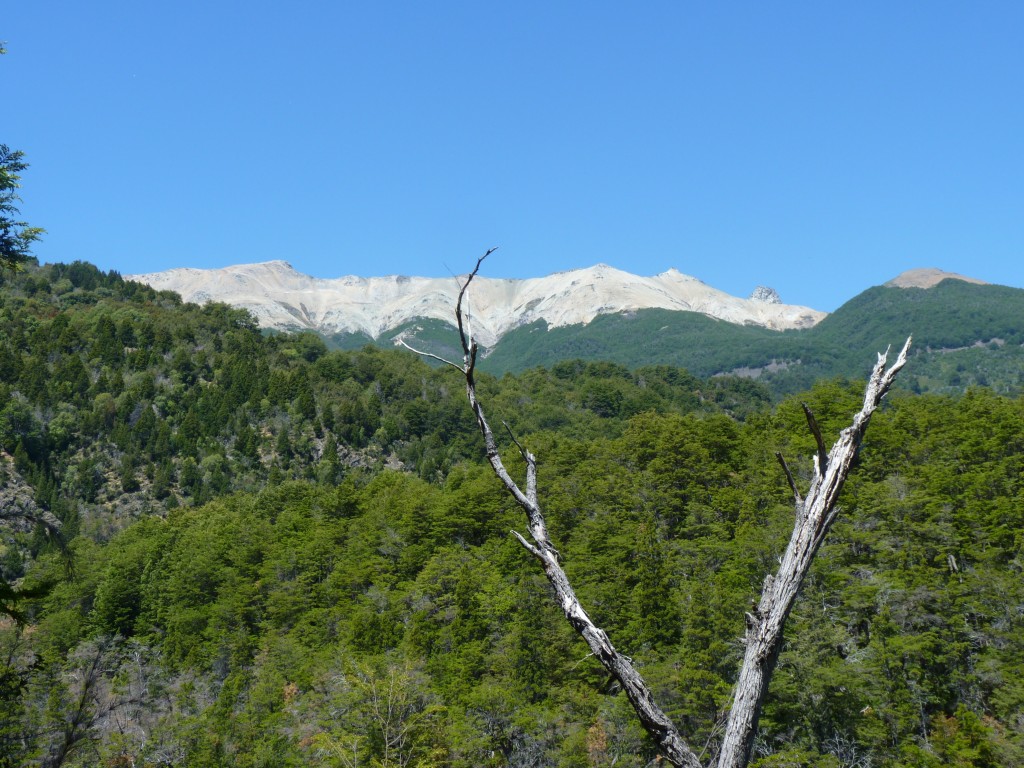 Foto: Río Menéndez. - Parque Nacional Los Alerces (Chubut), Argentina